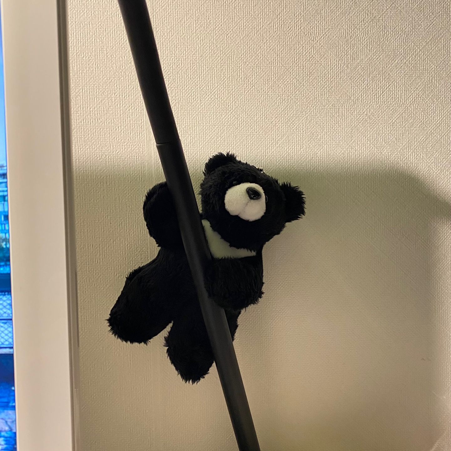 🐻
