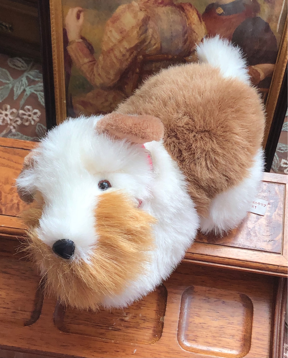 JAPAN KENNEL CLUB
빈티지 테리어 강아지인형 🐾