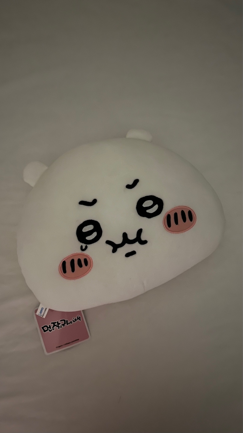 🩷치이카와 양면쿠션🩷
