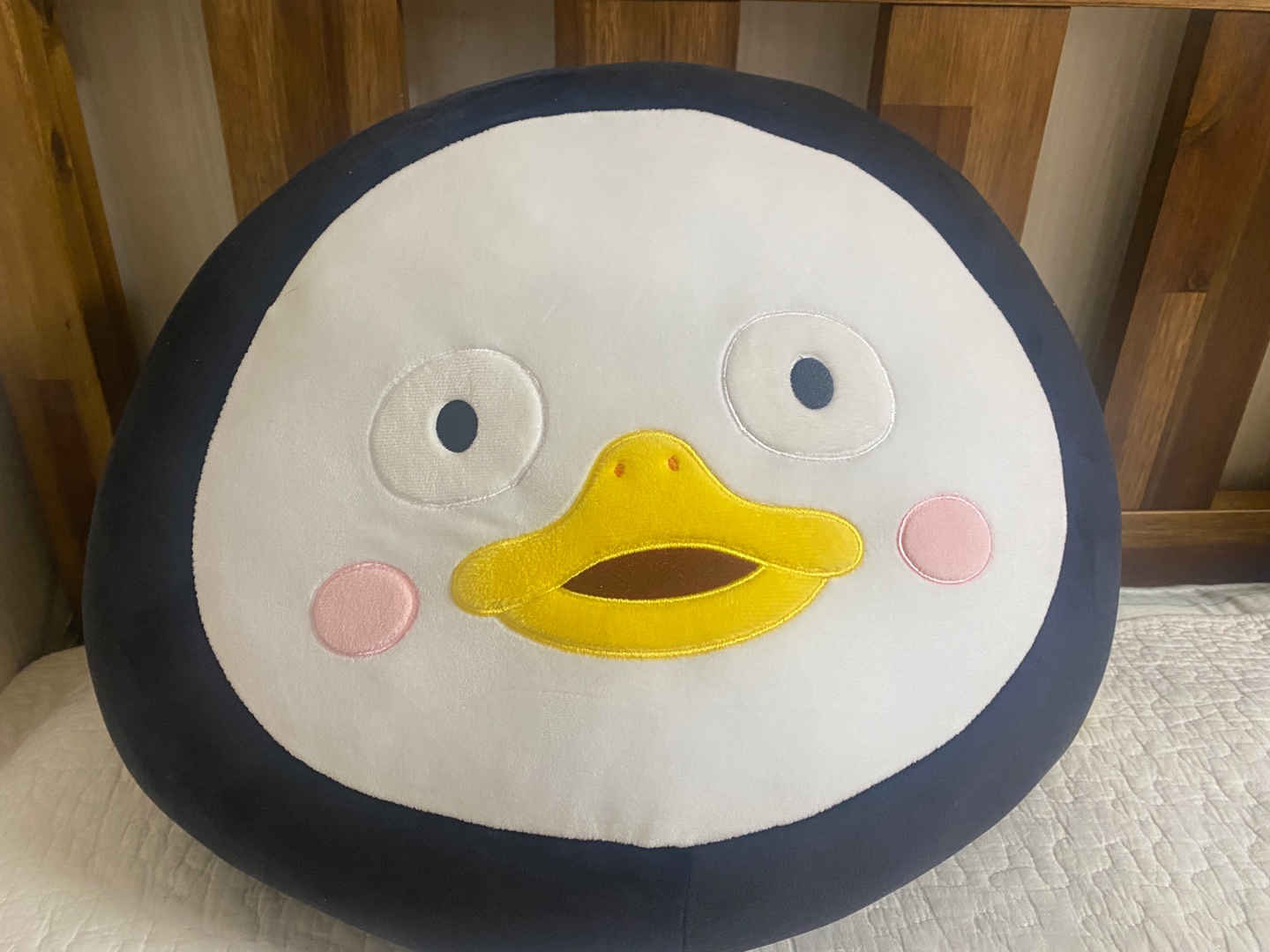 새로 펭수님 입양