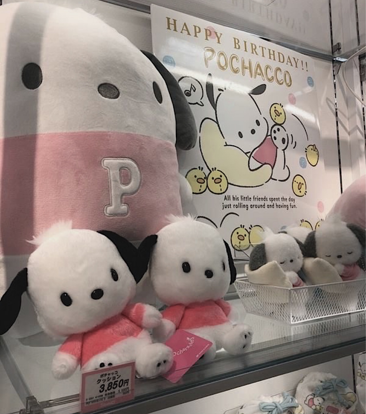 포차코 천국 😇