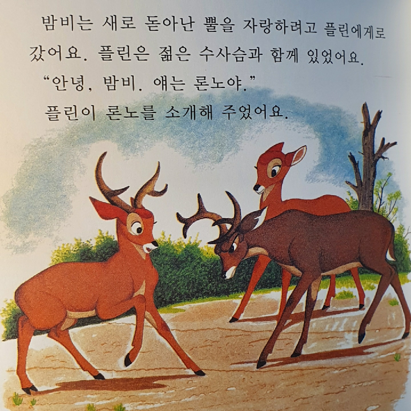 밤비는 수컷이다.