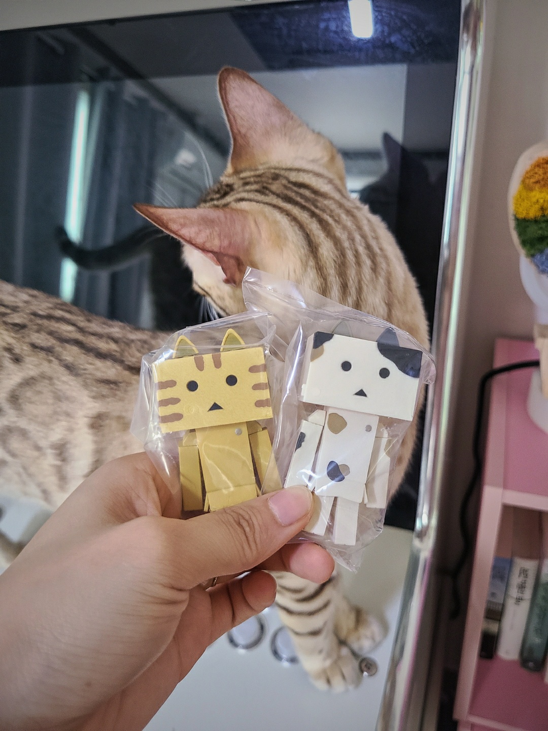 미니 냥보
