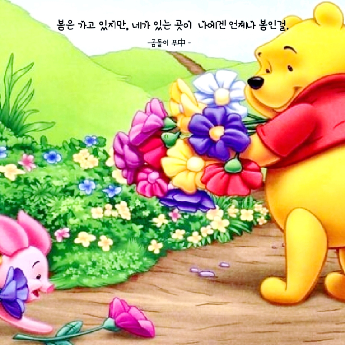 -곰돌이 푸 -