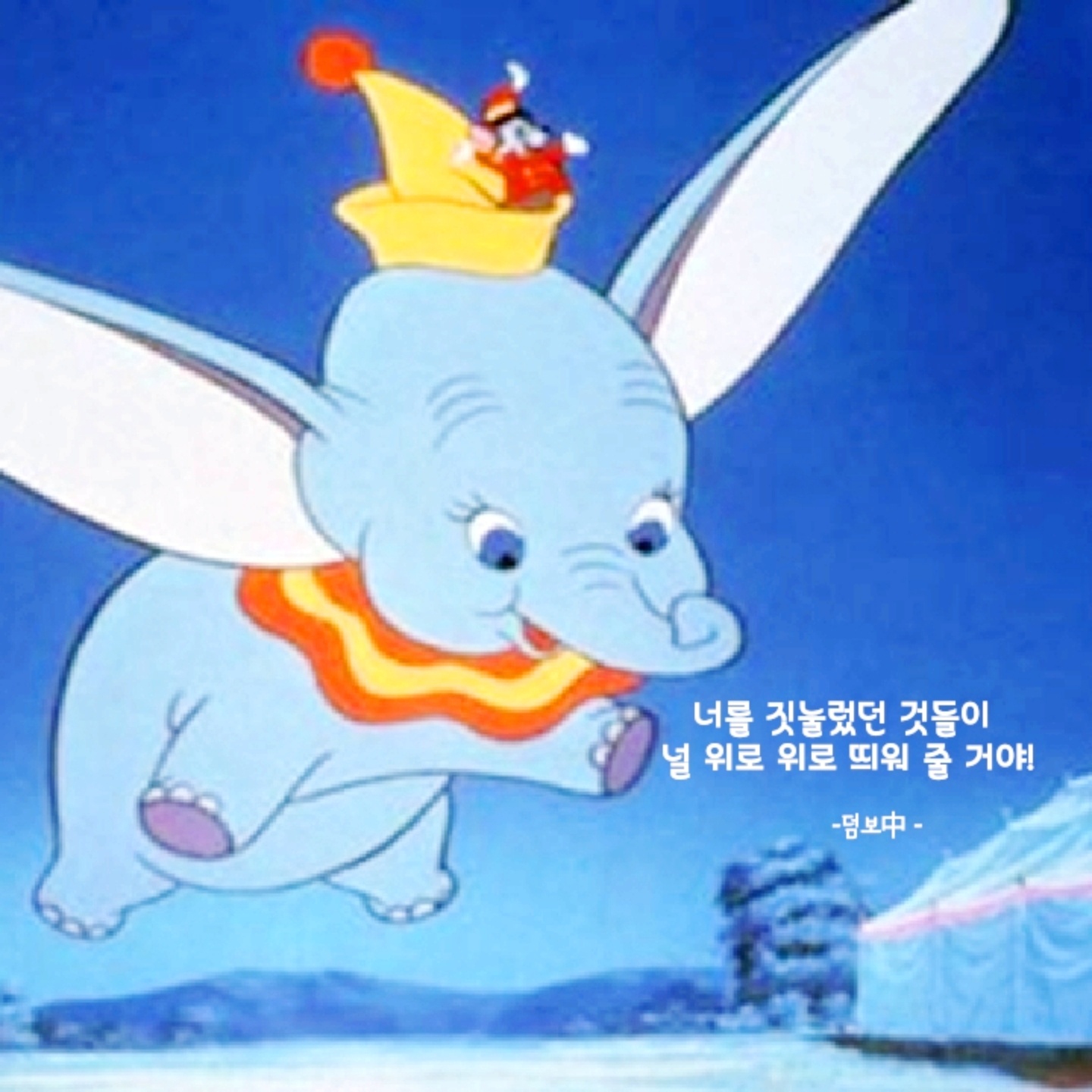 -덤보-