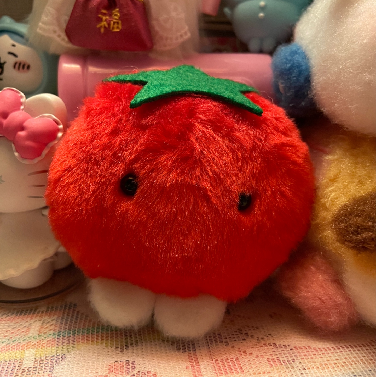토마토양 🍅