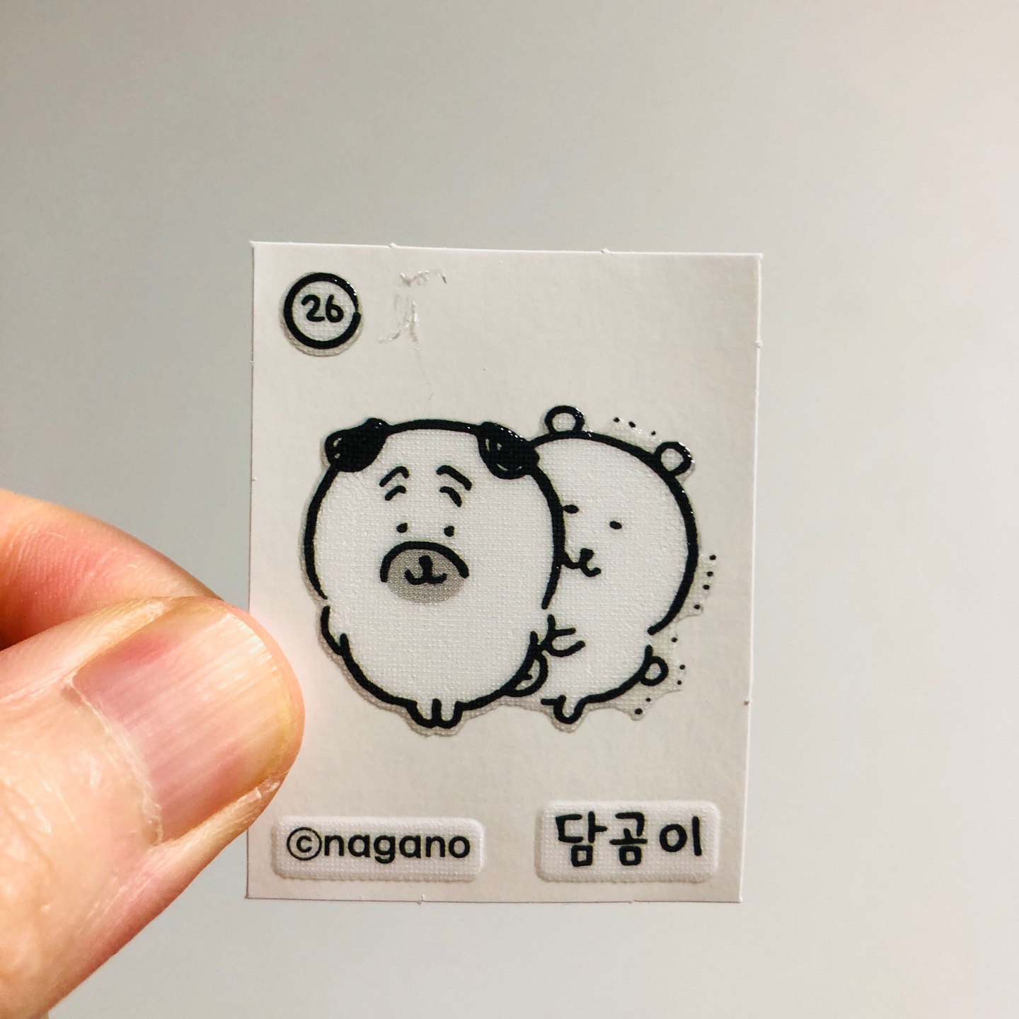 띠부실 전국시대