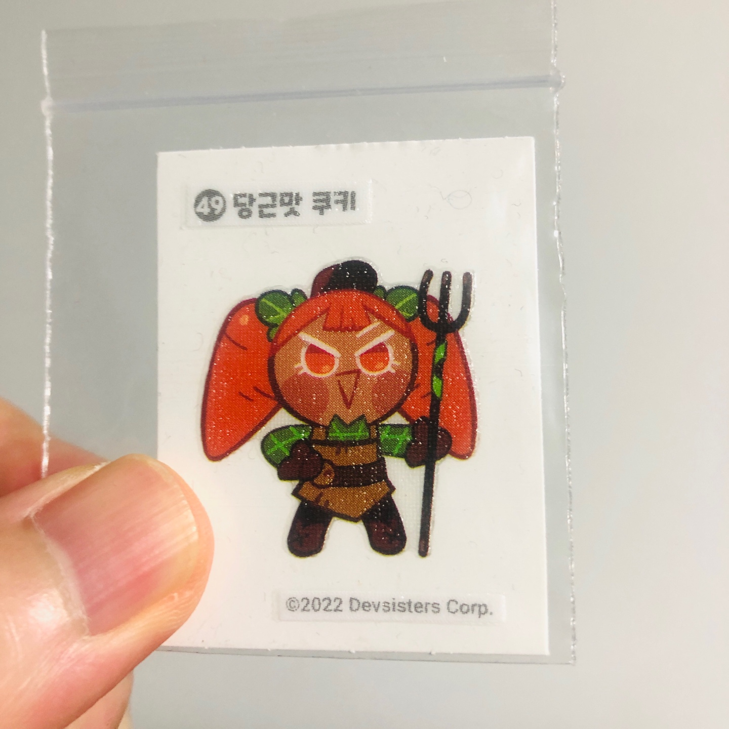 띠부실 전국시대
