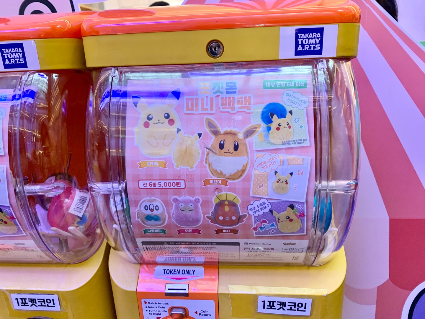 라인업 중 일부 제품을 촬영했습니다 | 콜리(Colley)