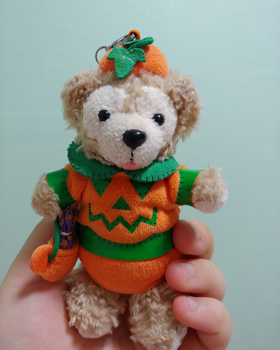 초창기 더피🐻😊