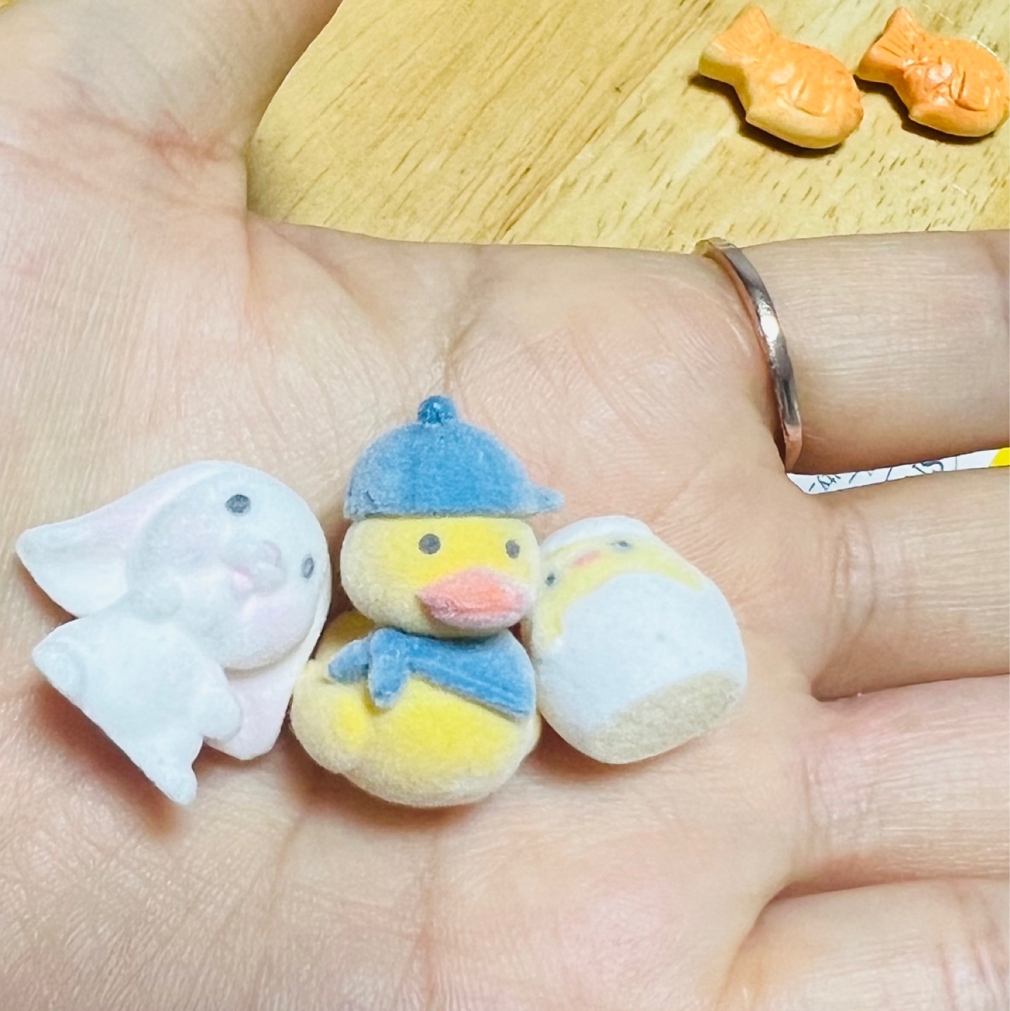 마그넷만들기 투어 🥳