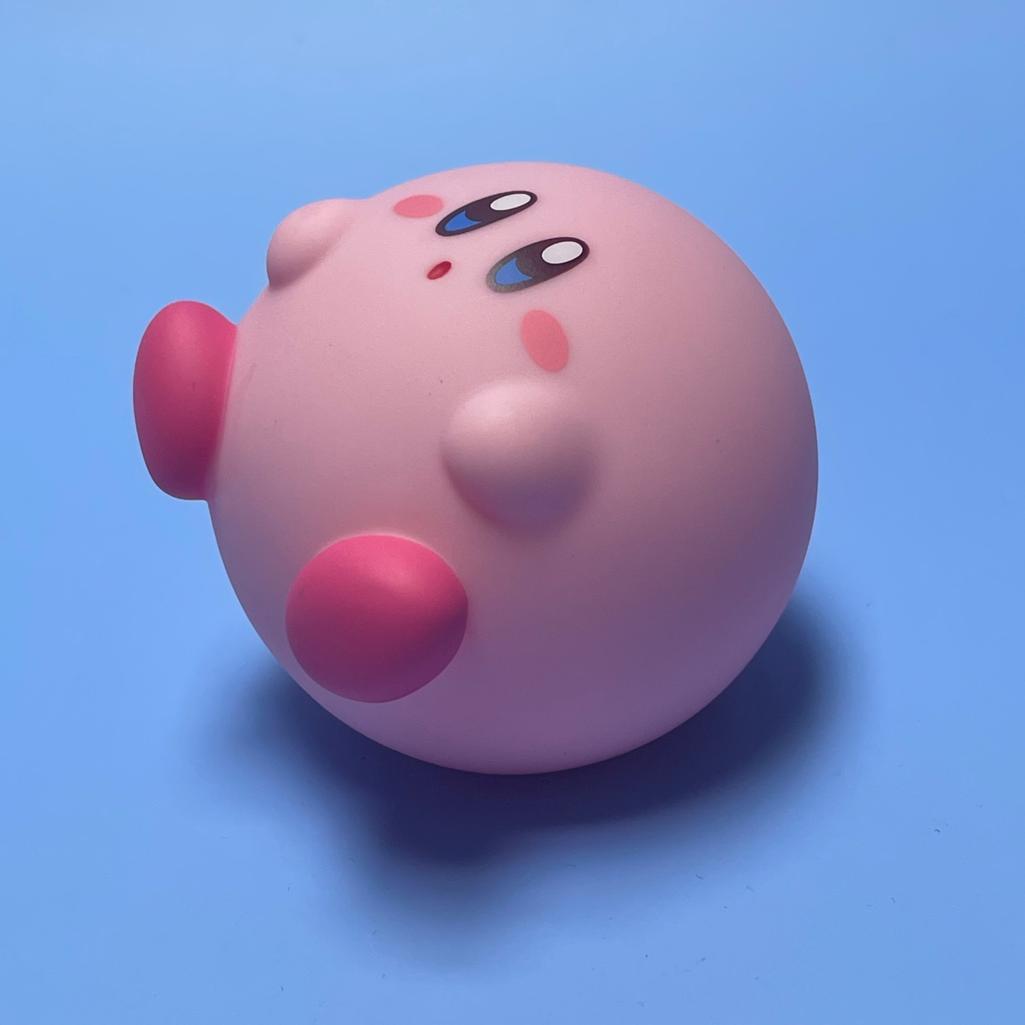 뚱땡커비 •0•