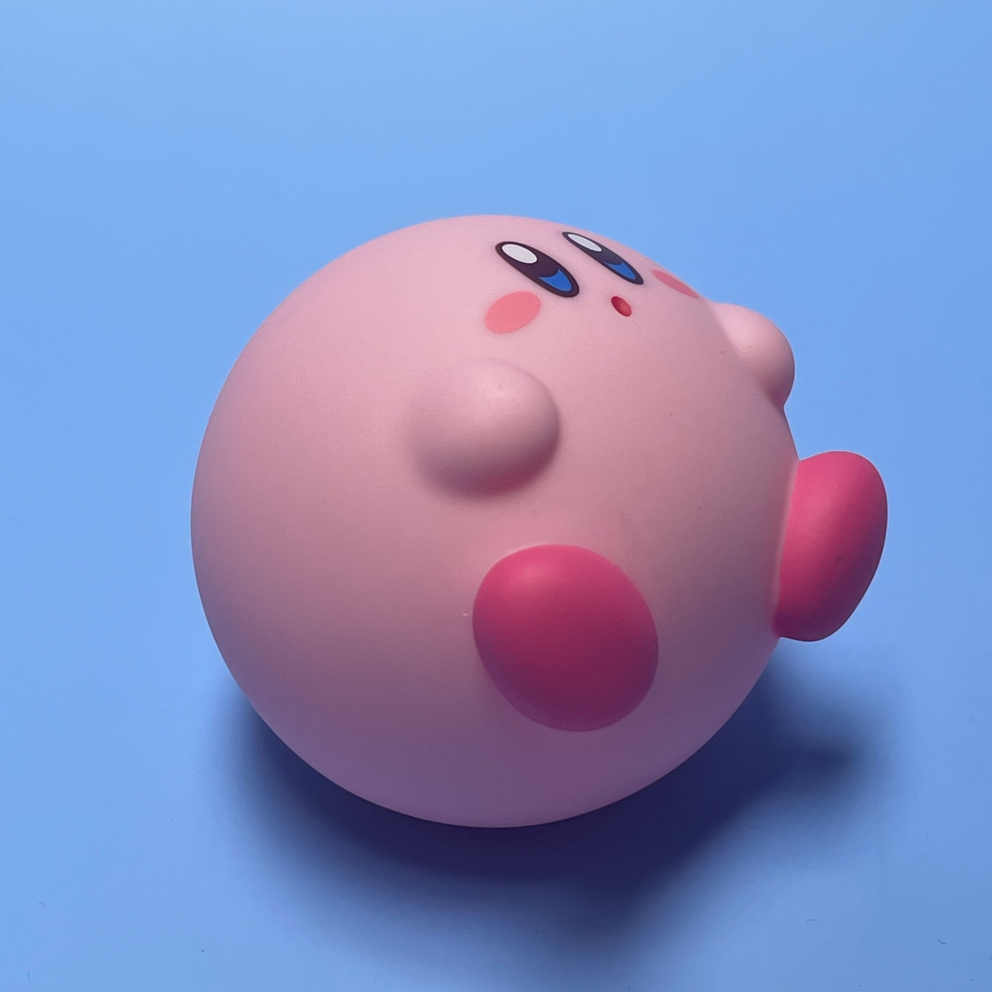 뚱땡커비 •0•