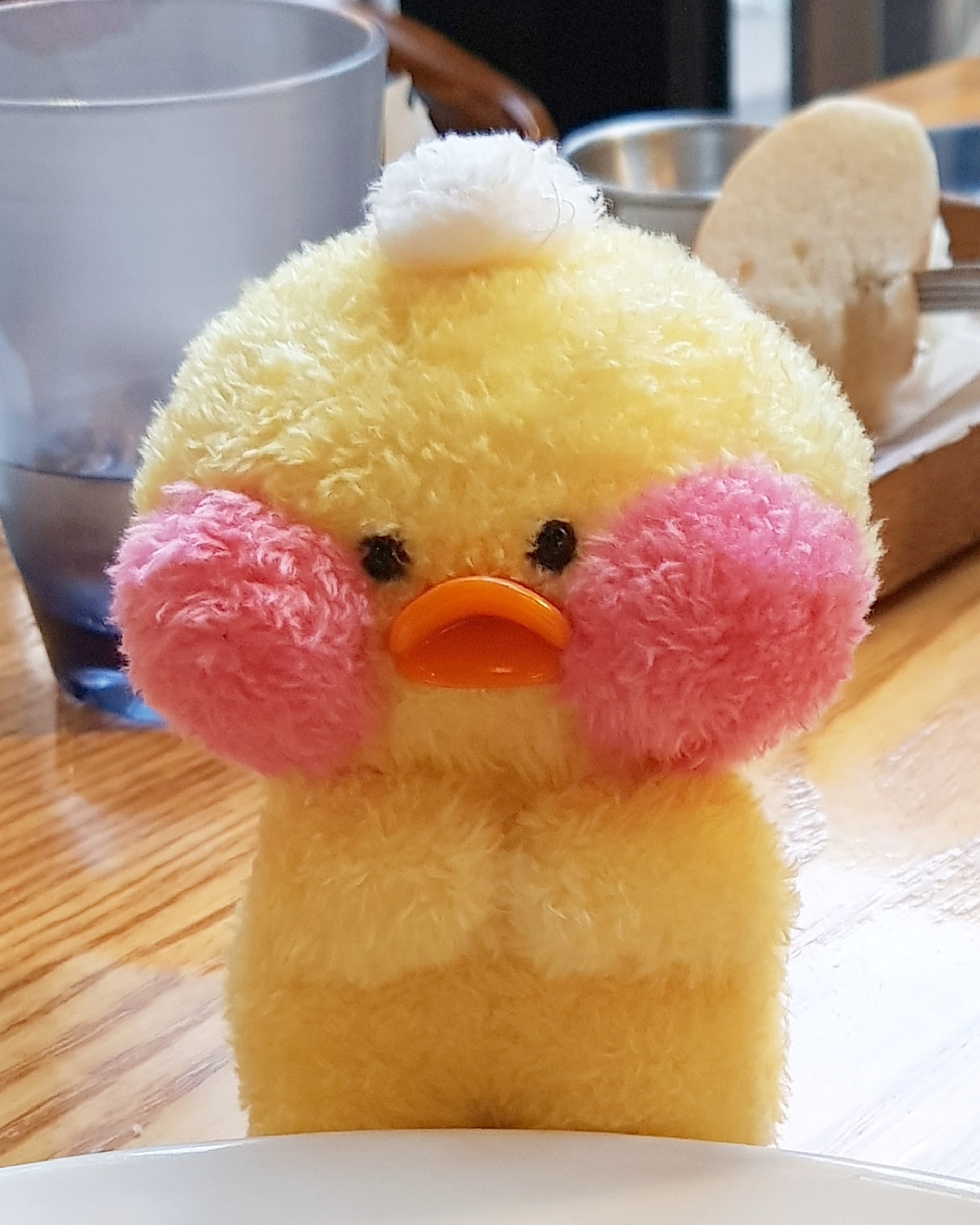 꽁냥꽁냥