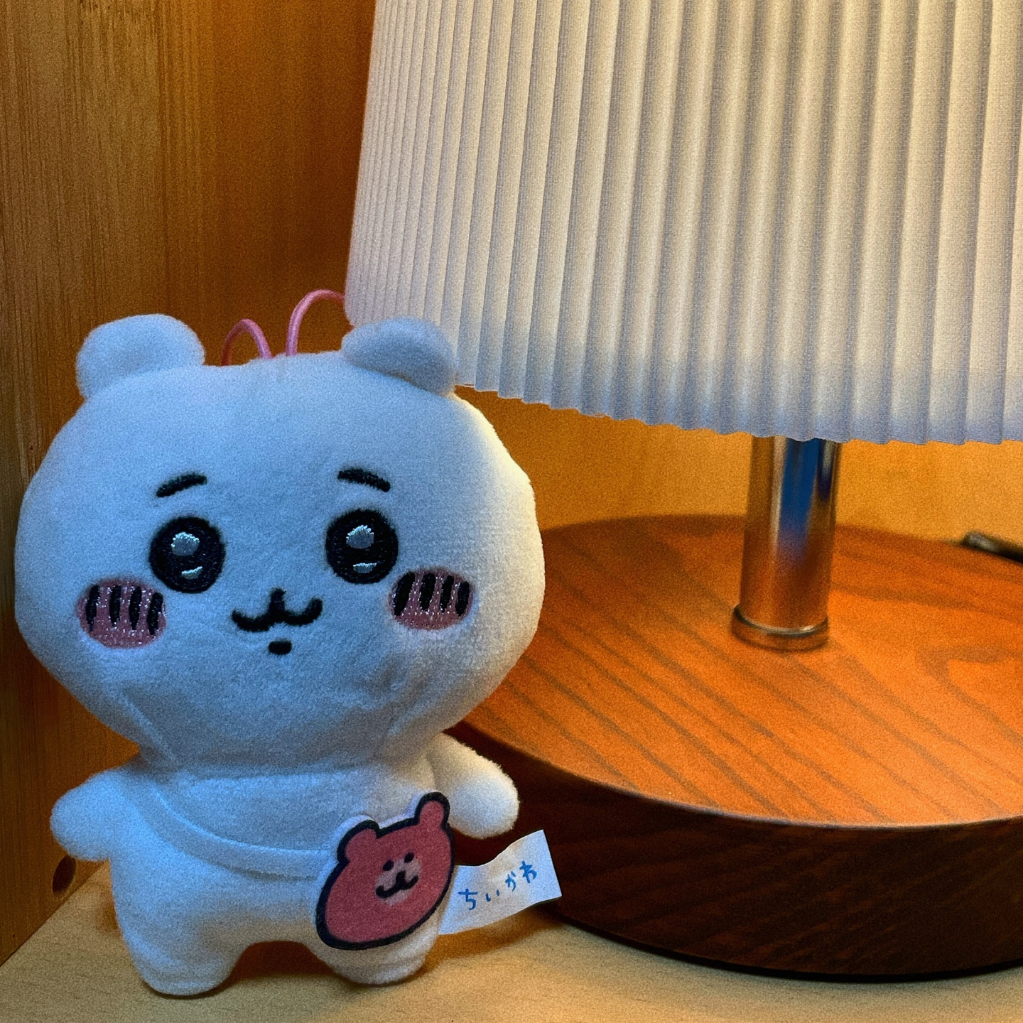 치이카와 솜뭉치🤍☁️