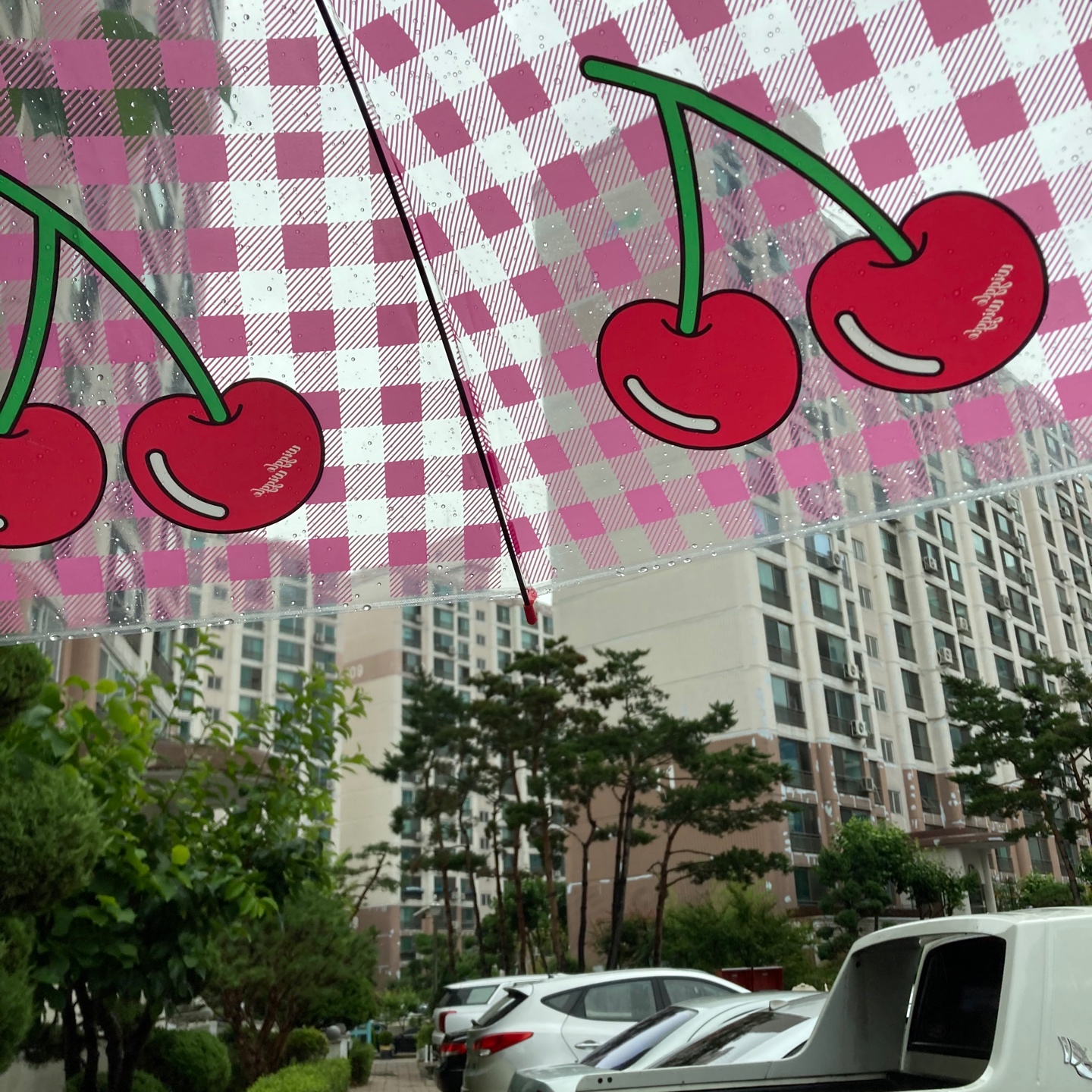 🍒𝙬𝙞𝙜𝙜𝙡𝙚wiggle🍒