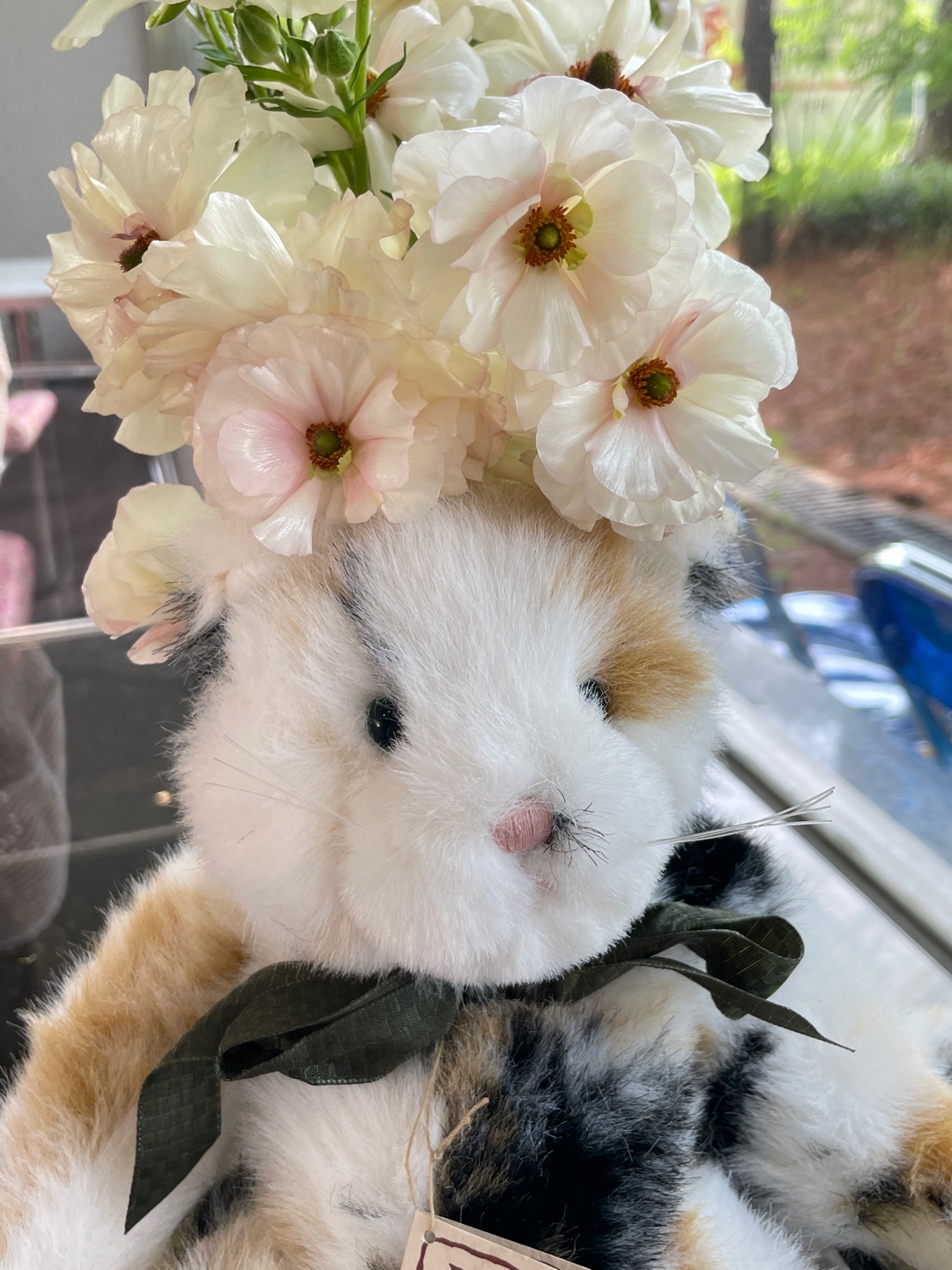 꽃냥이🌸