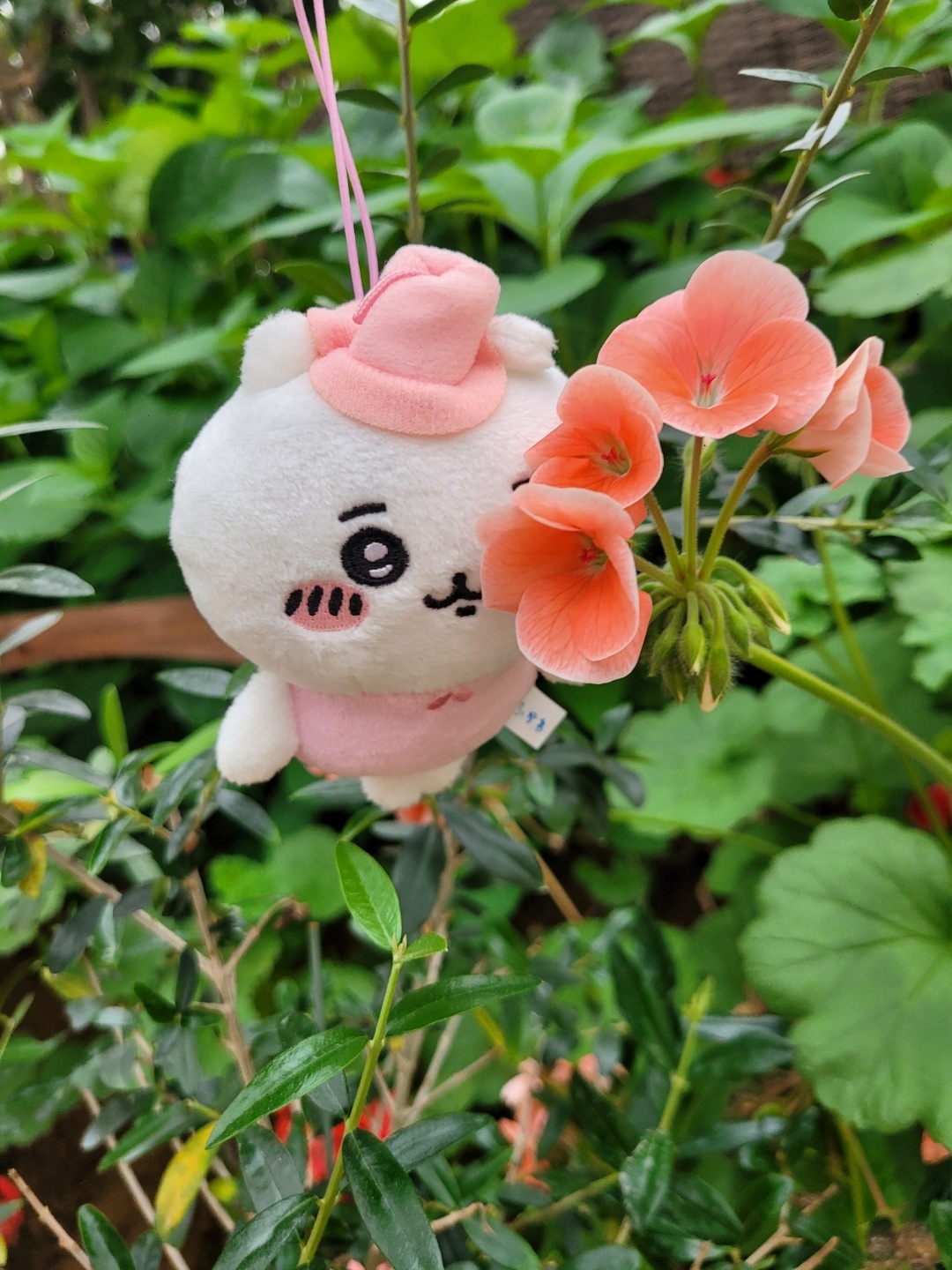 치이카와 🧚‍♀️