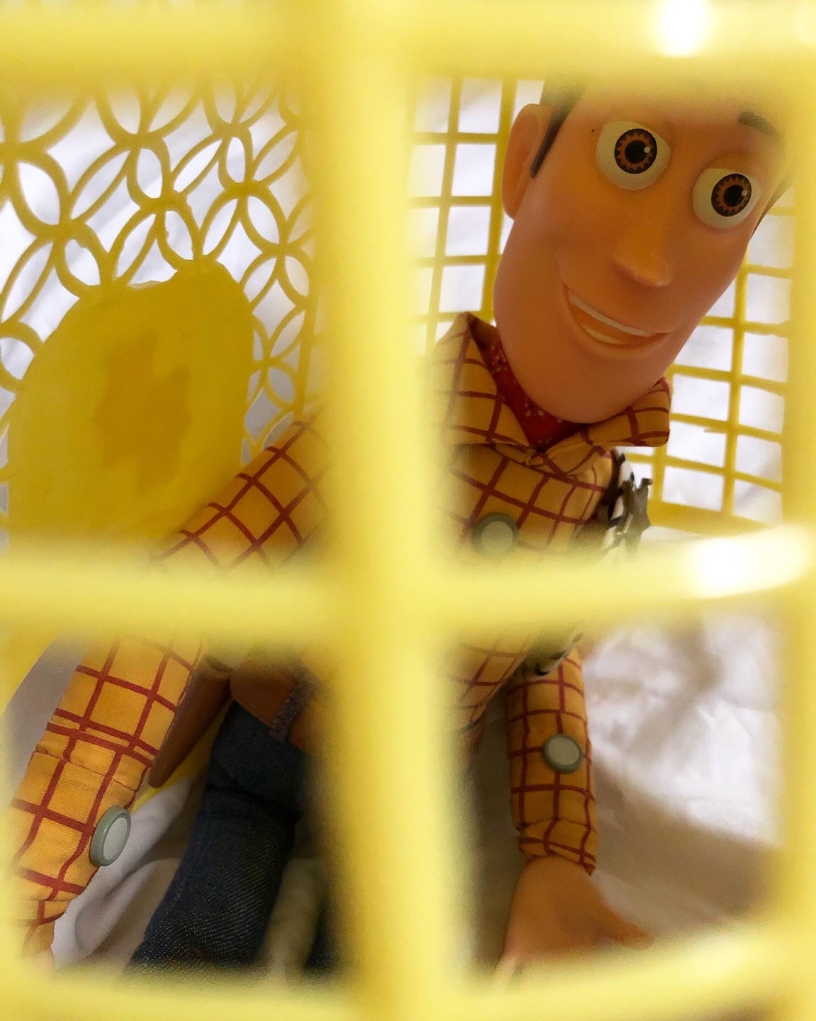 시드