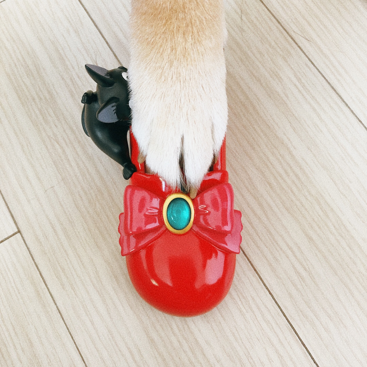 키키구두의 주인공은?!