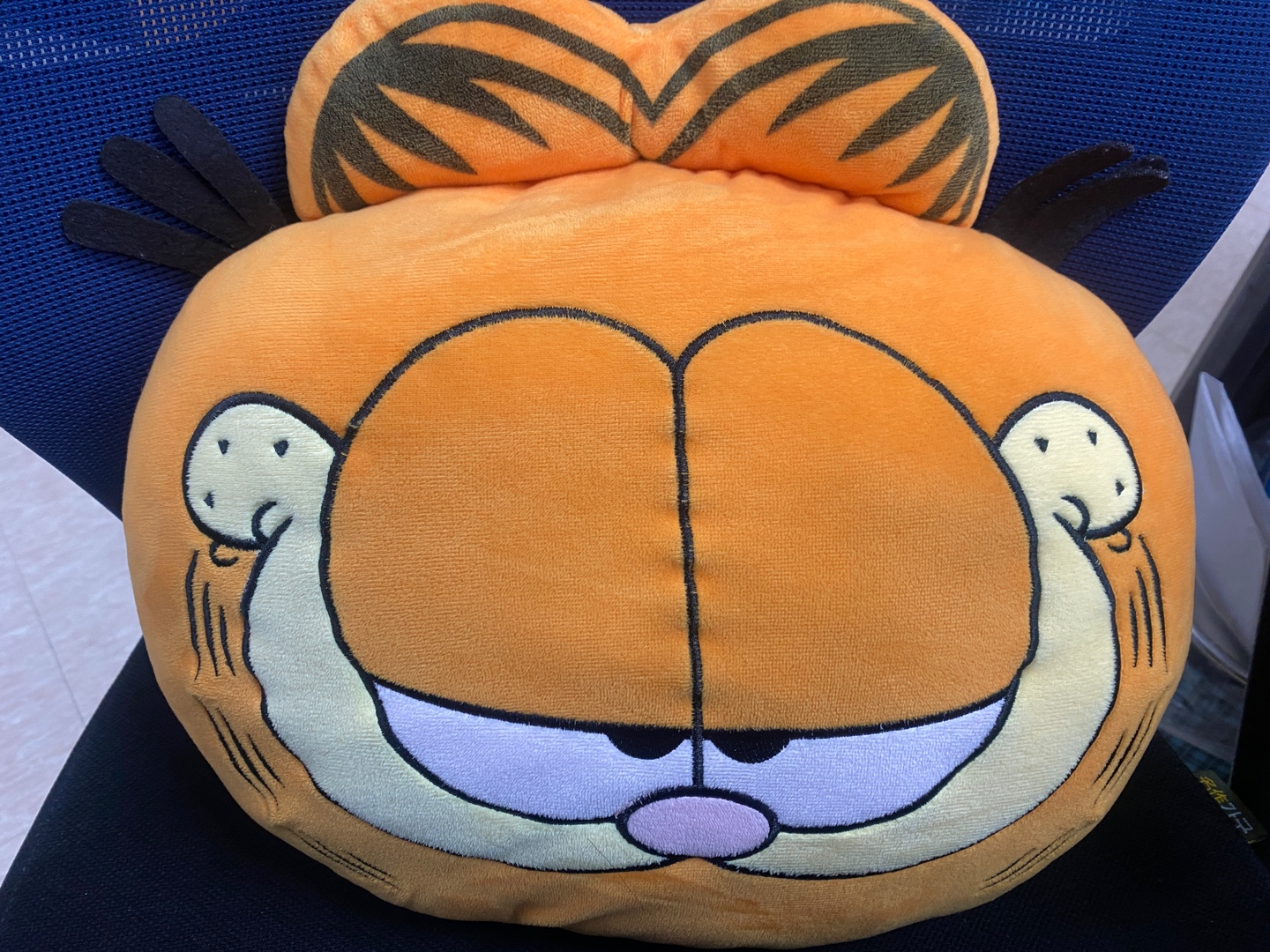 가필드 쿠션이랑 블랭킷(던킨)