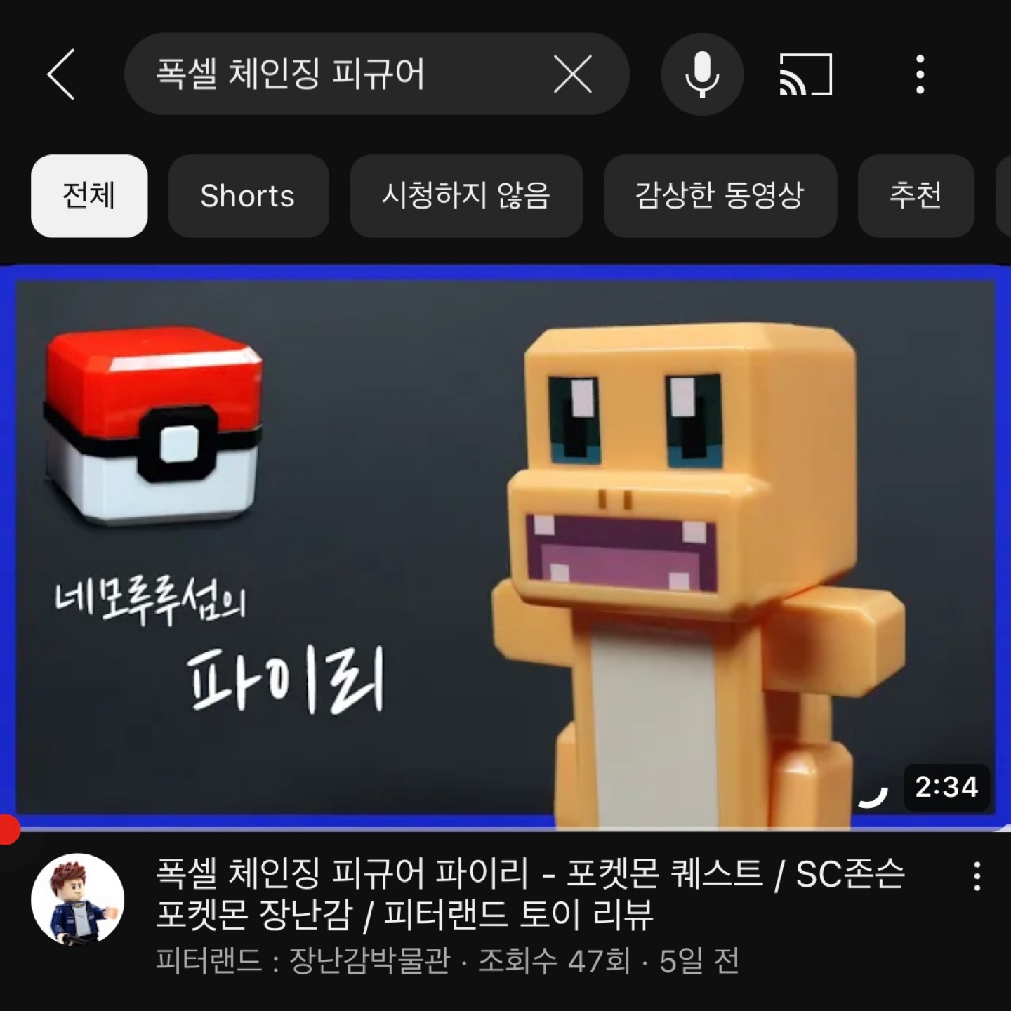 네모루루섬의 파이리