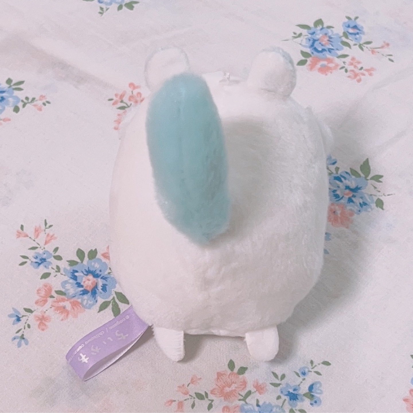 모찌 코로링 모몽가🩵