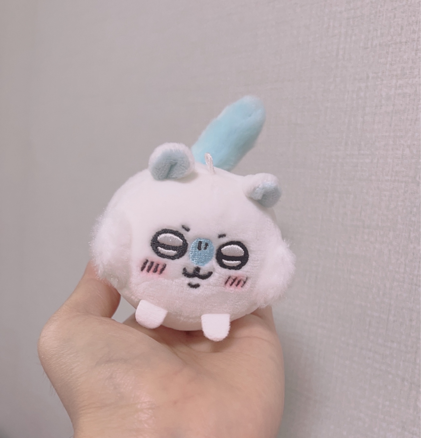 모찌 코로링 모몽가🩵