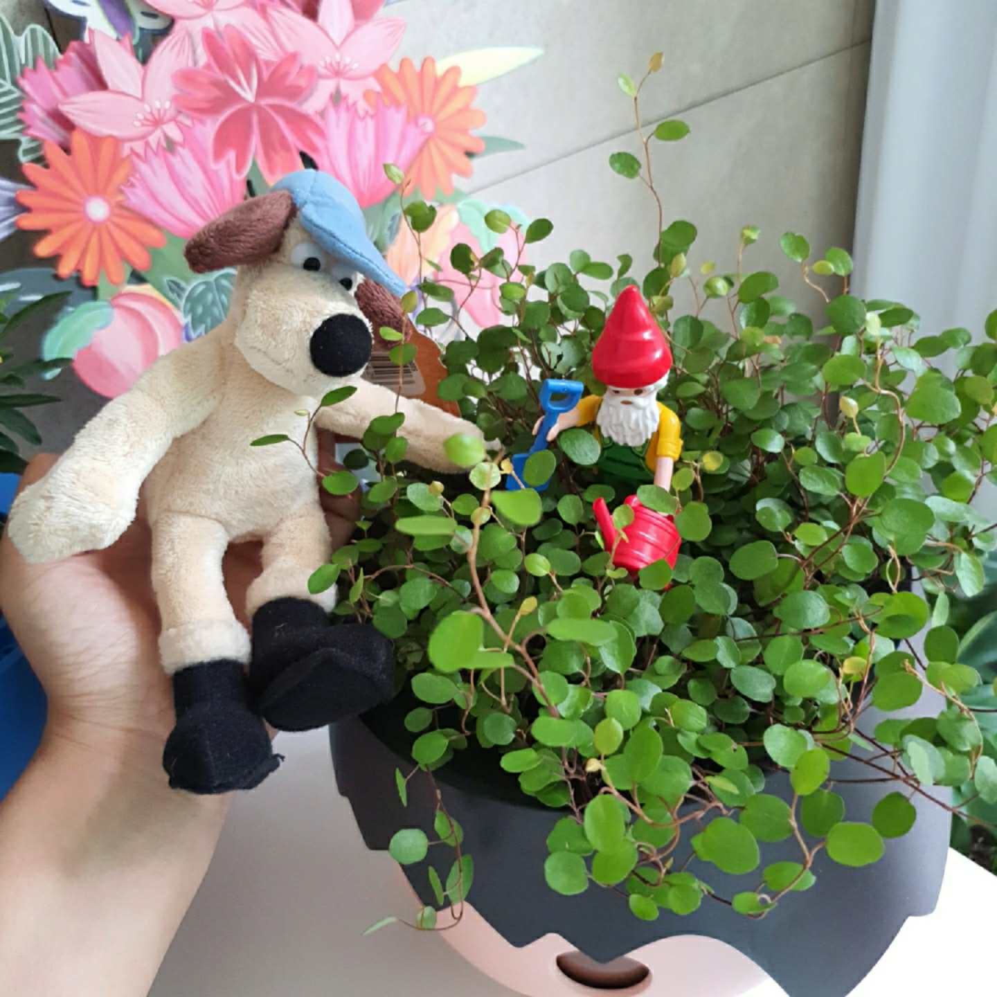 거대토끼의 저주