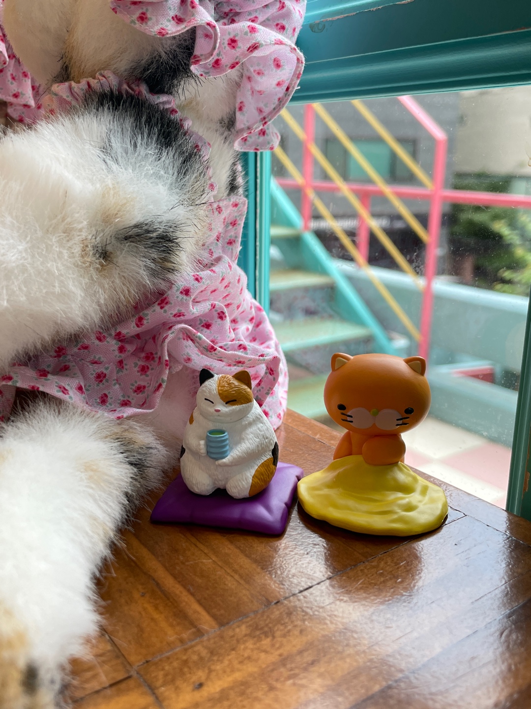 고양이 옆에 고양이 옆에 고양이