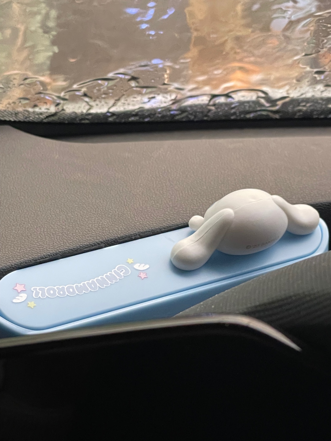 귀여운 뒤통수🩵