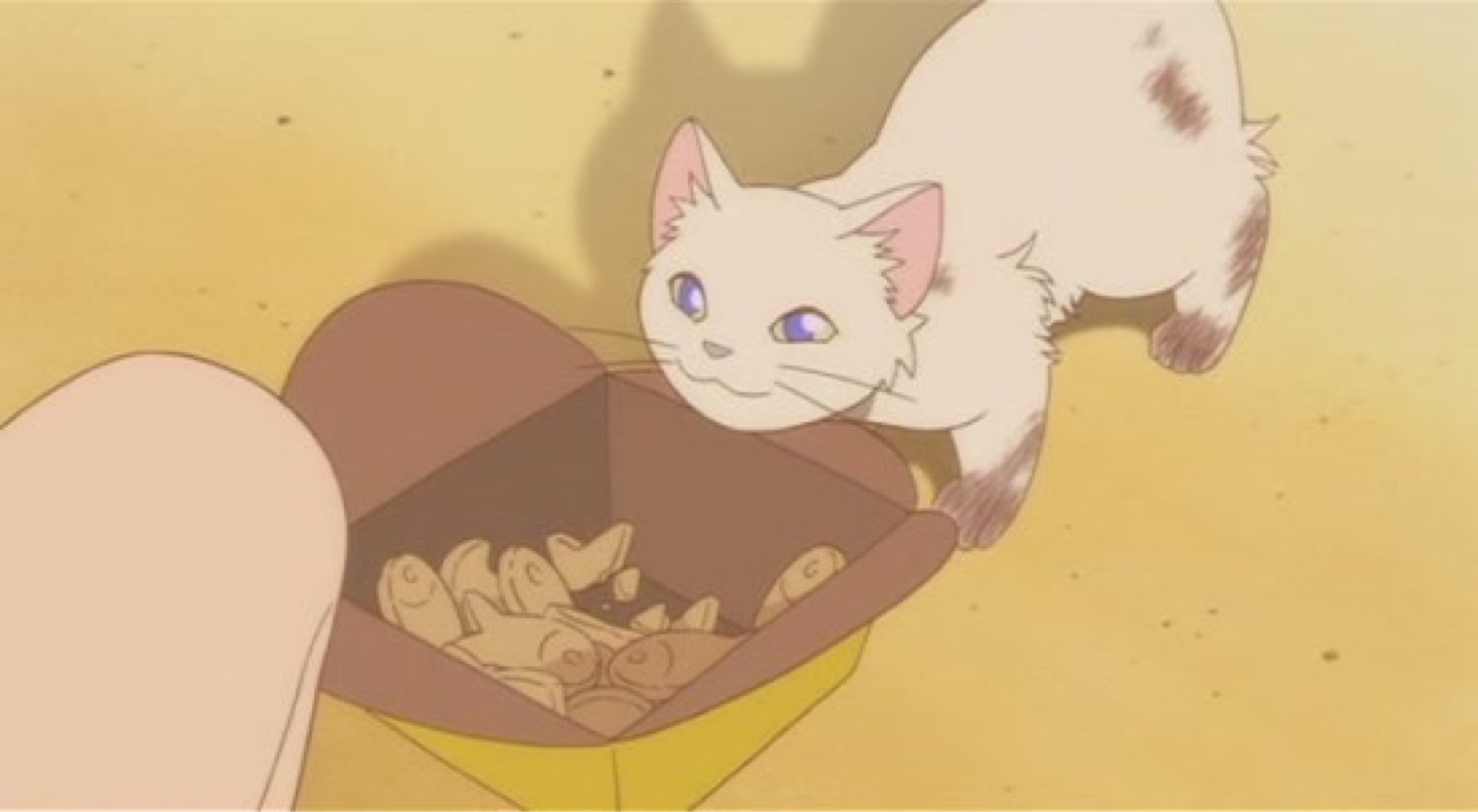 고양이의 보은
