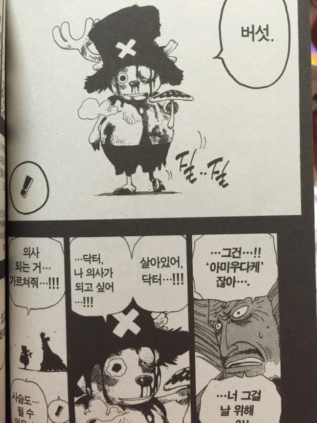 원피스 쵸파