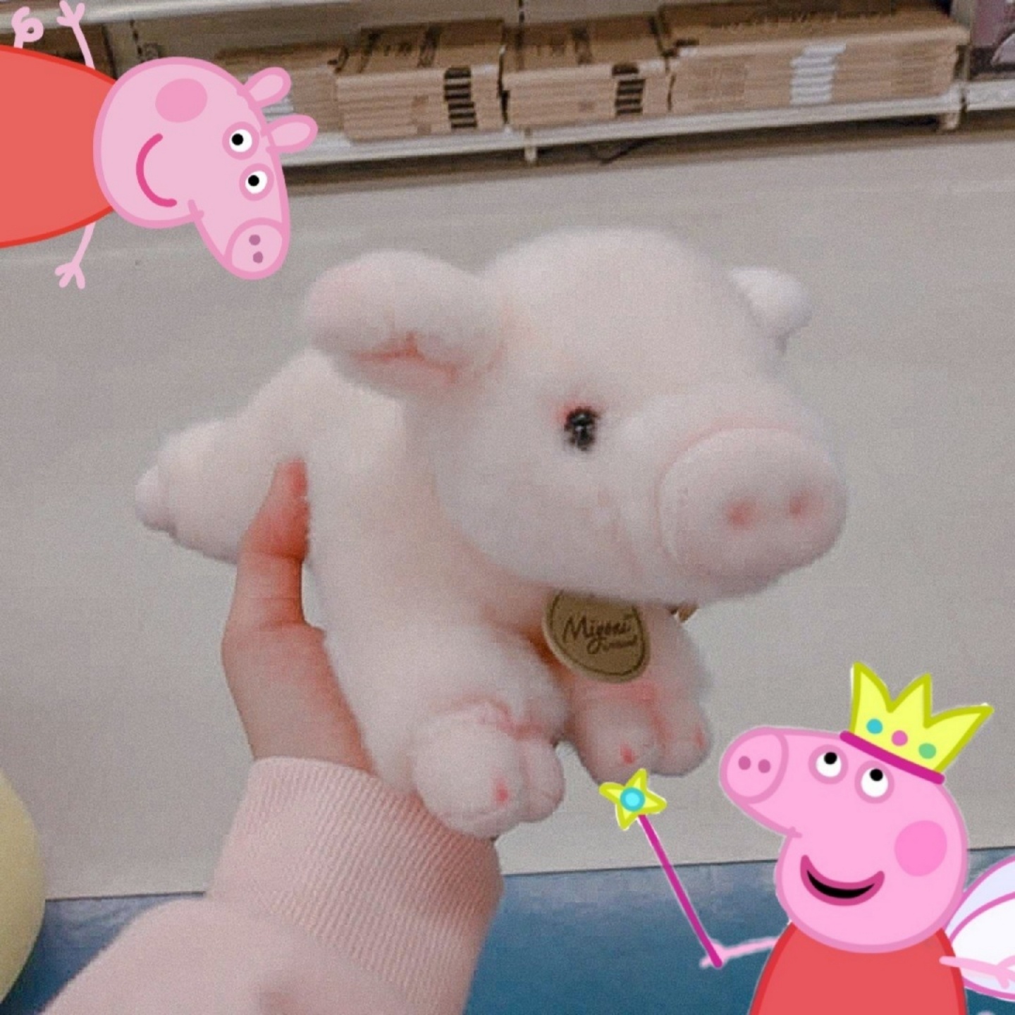 아기꿀꿀