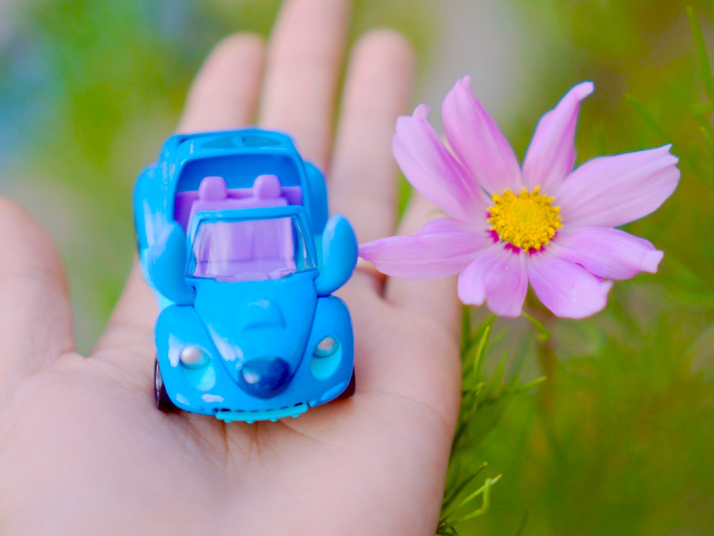 🌸 오늘도 스티치 🌸