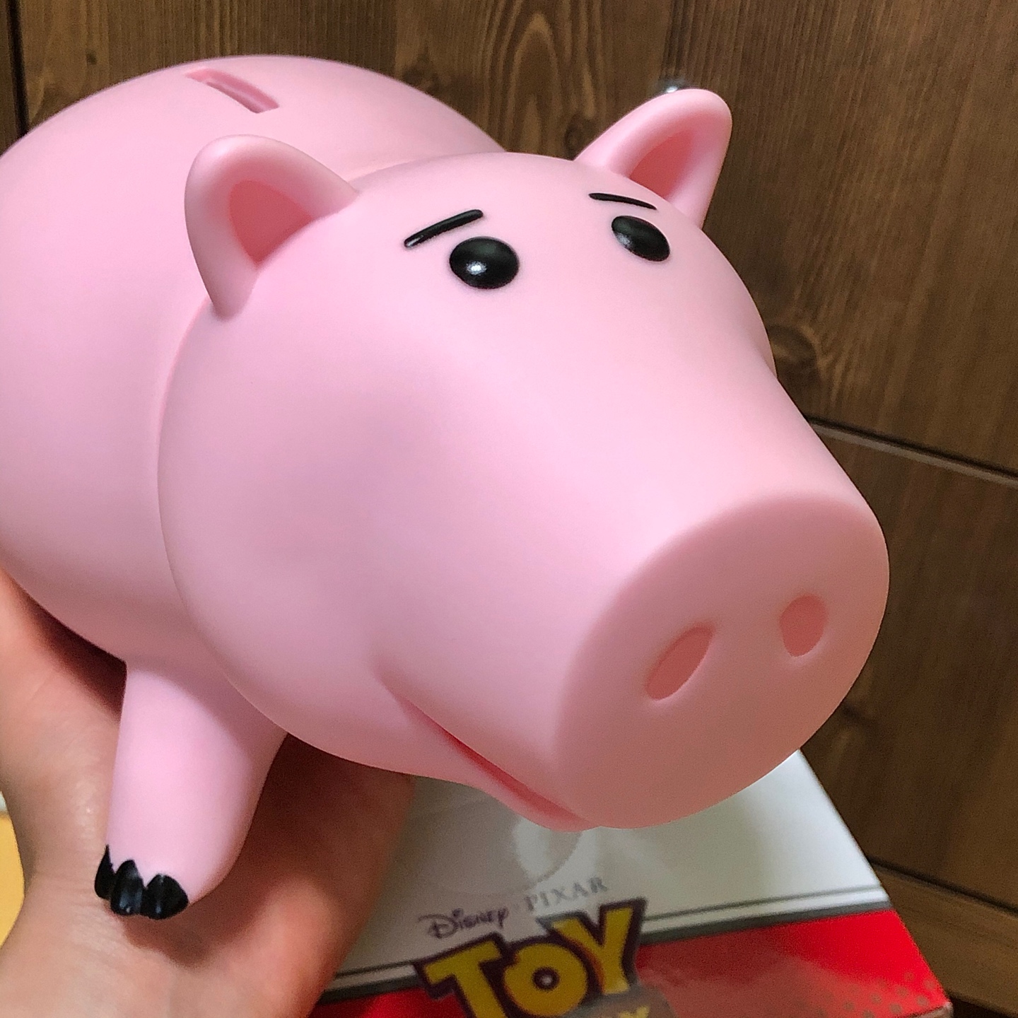 🐷