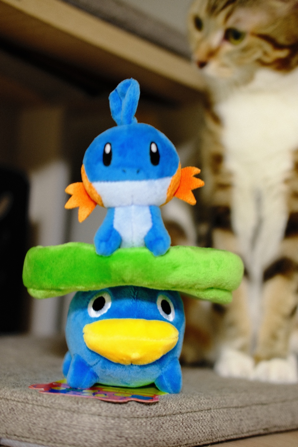 연꽃몬&물짱이