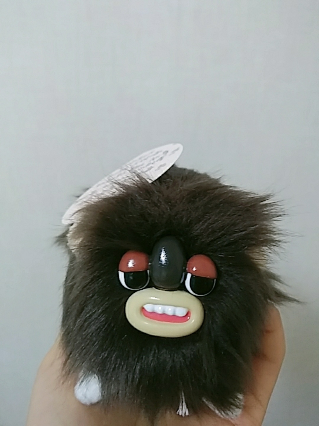 꾀죄죄한 작은 숲 샌달우드 해치 !
