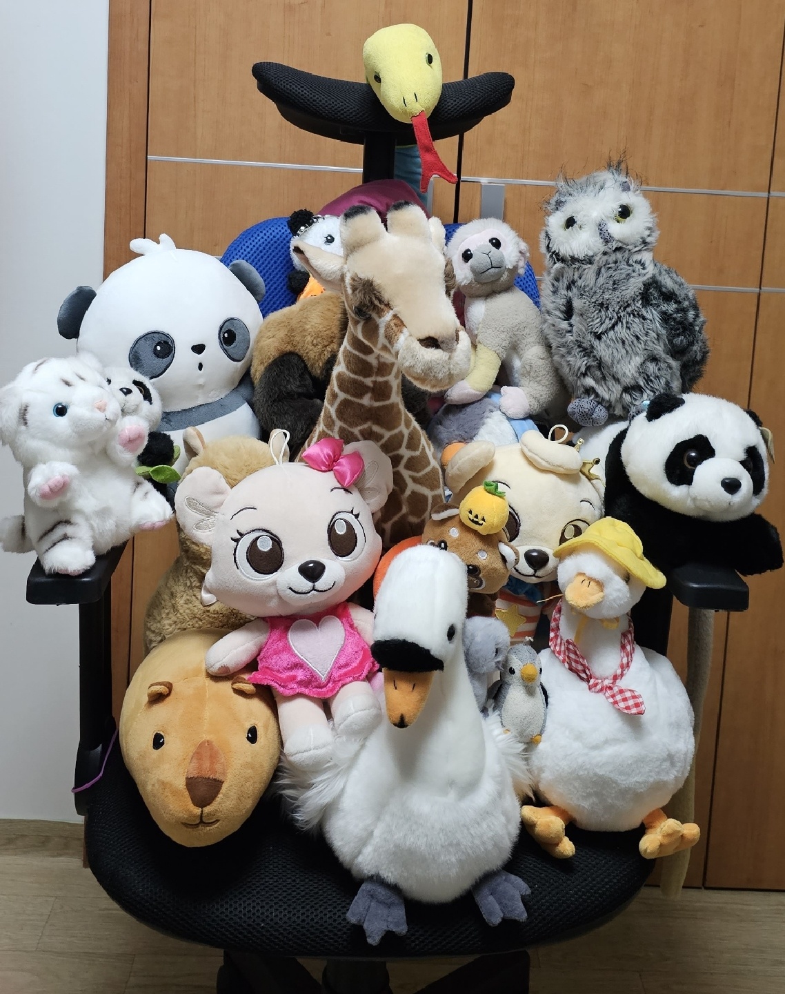 에버랜드 동물 인형