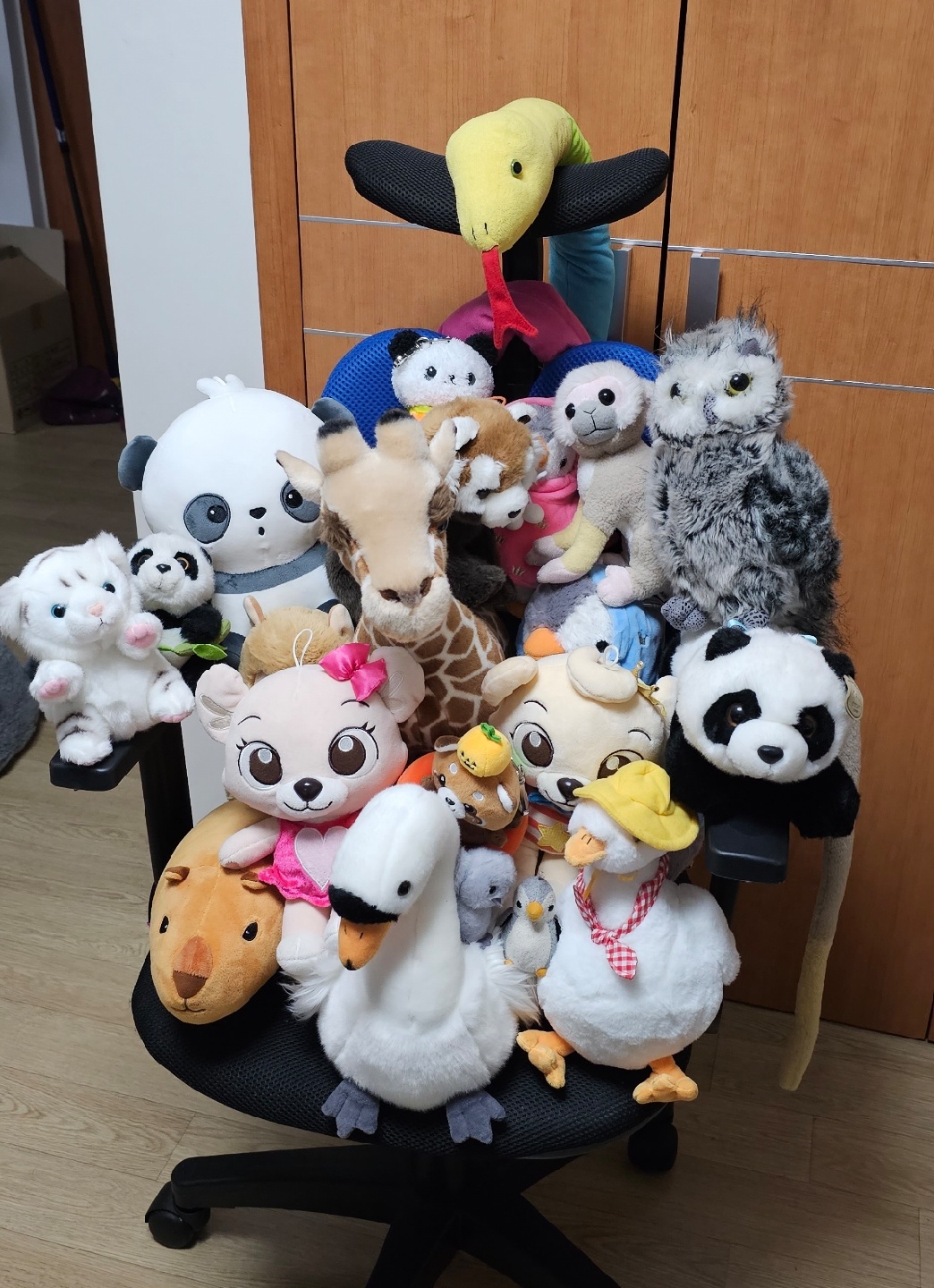 에버랜드 동물 인형