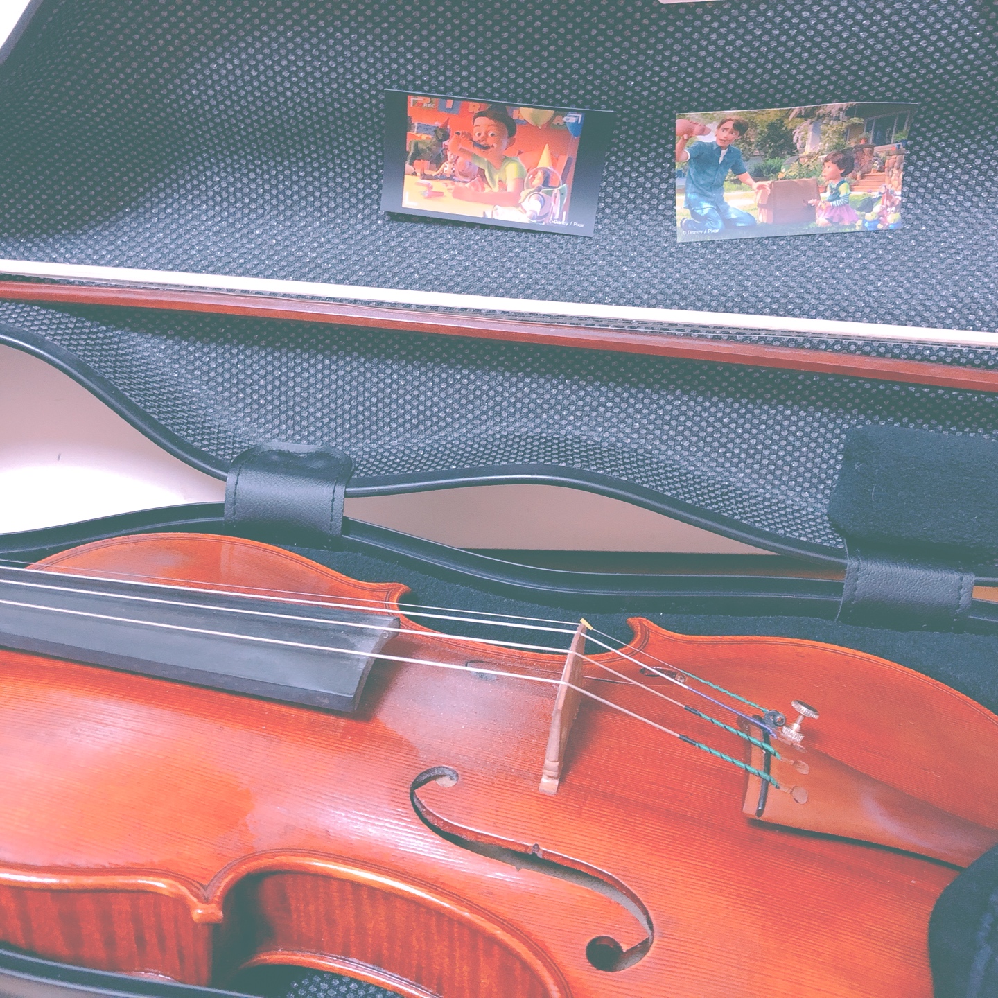 🎻🎻