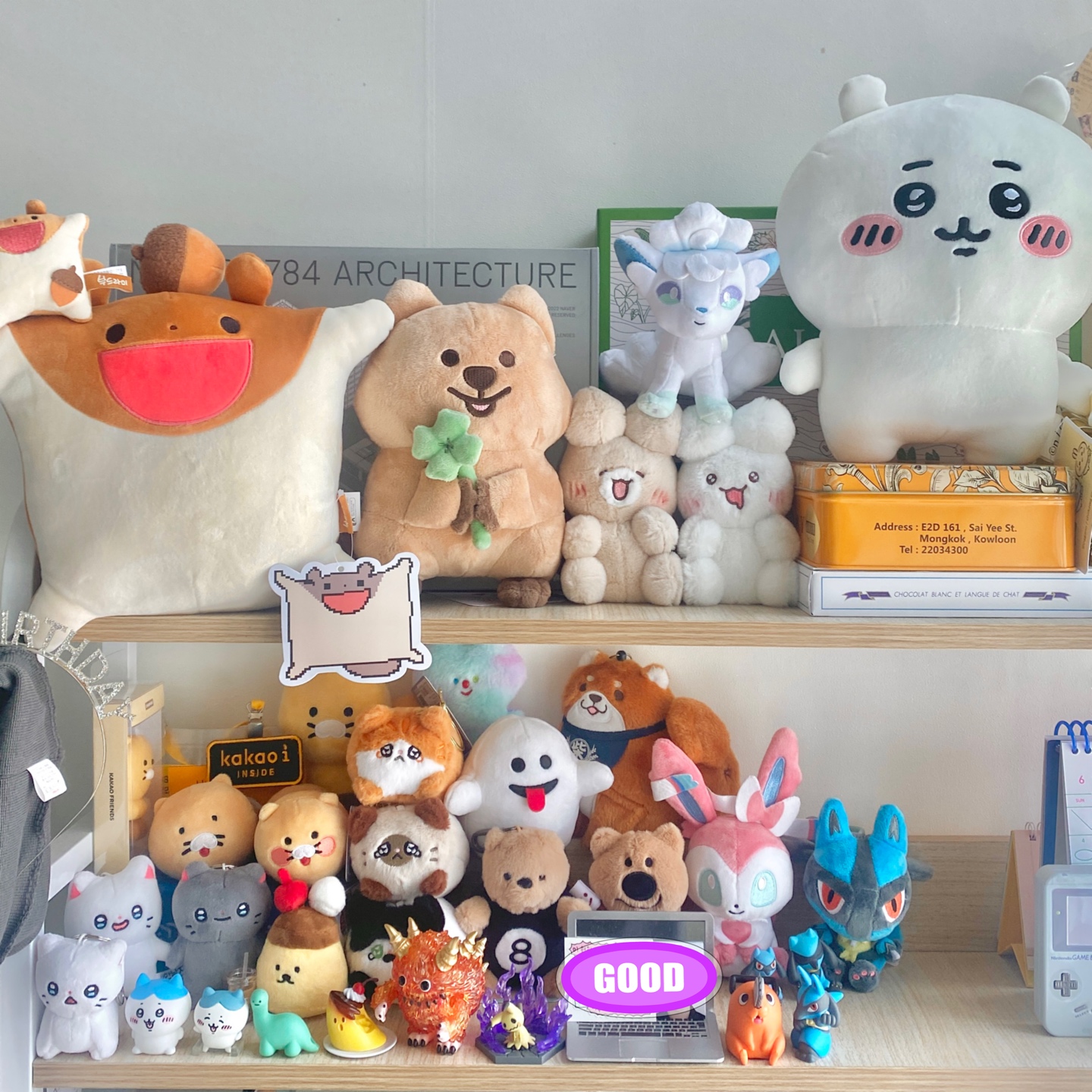 제 콜렉션 구경하고 가세요🥰