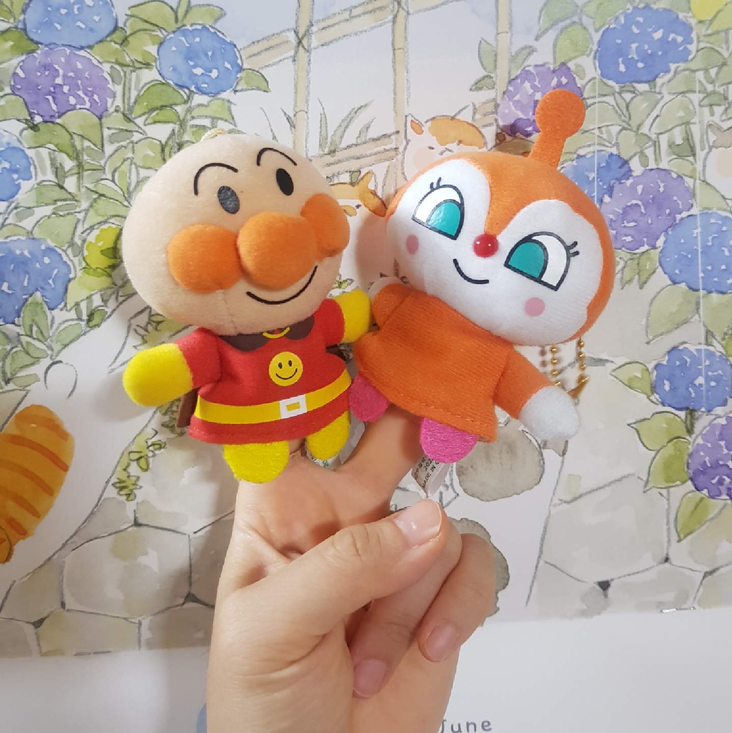 오사카에서 외로이 왔던 짤랑이는 | 콜리(Colley)