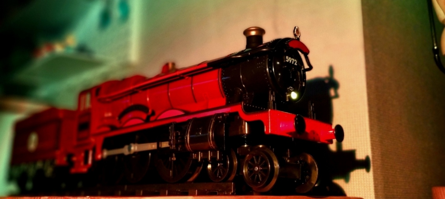 🚂호그와트 익스프레스🚂