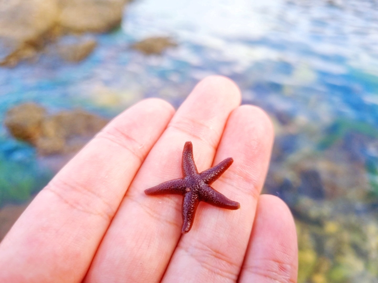 여름휴가 시작 🏖