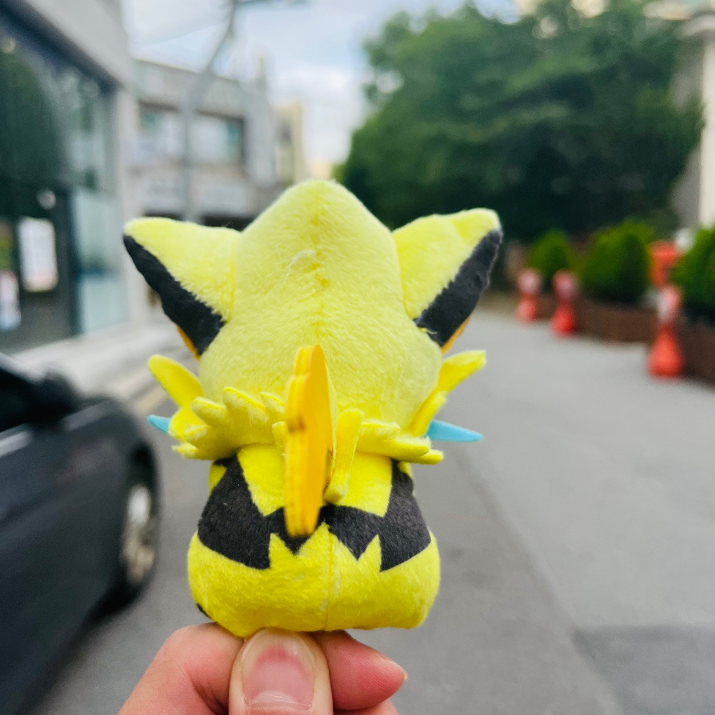 제라오라와 피카츄