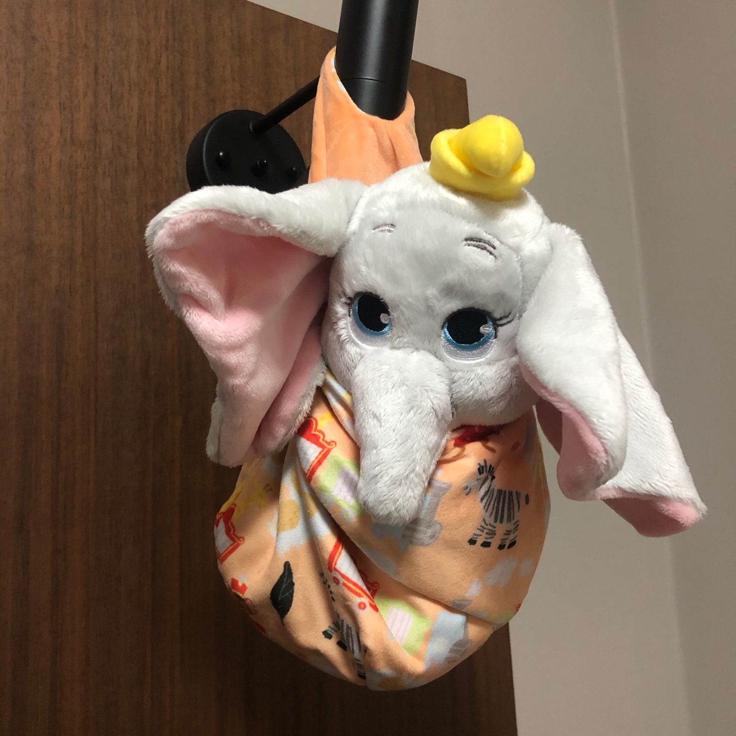 🐘펠리칸이 물어다준 아기덤보🐘