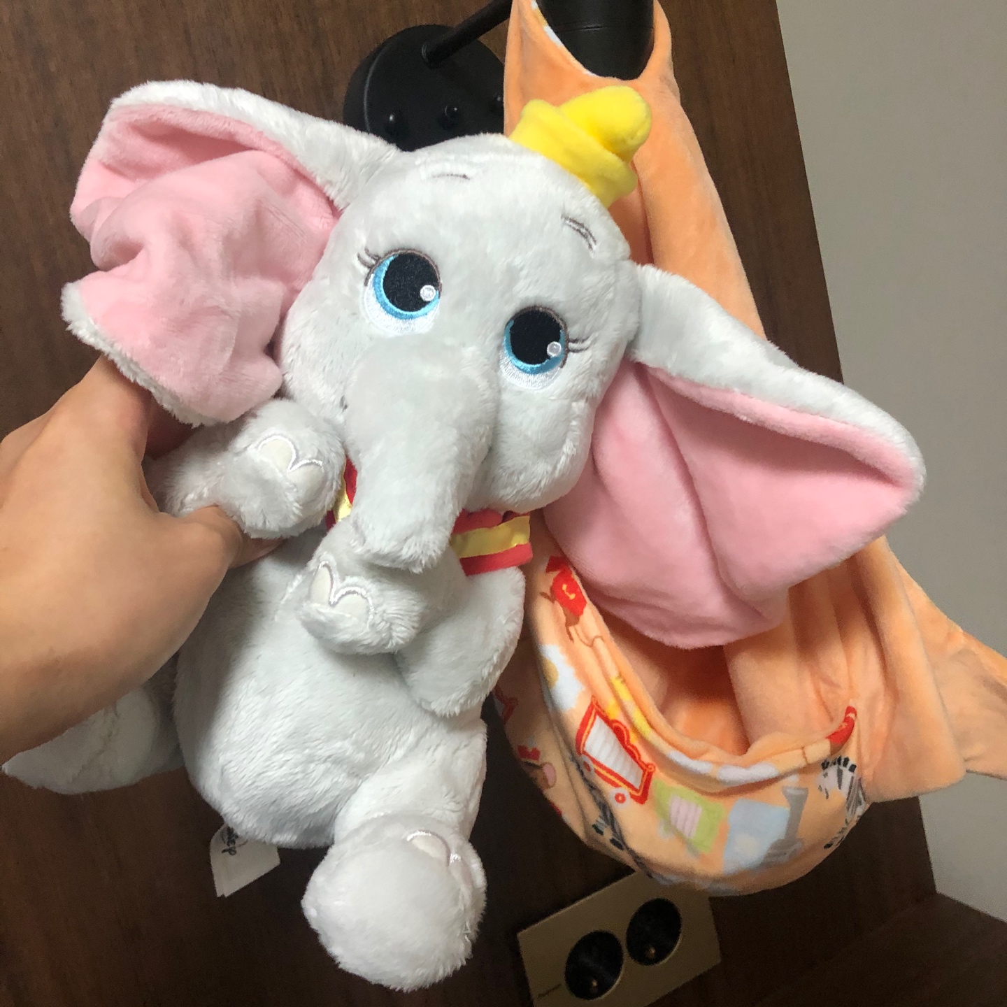 🐘펠리칸이 물어다준 아기덤보🐘