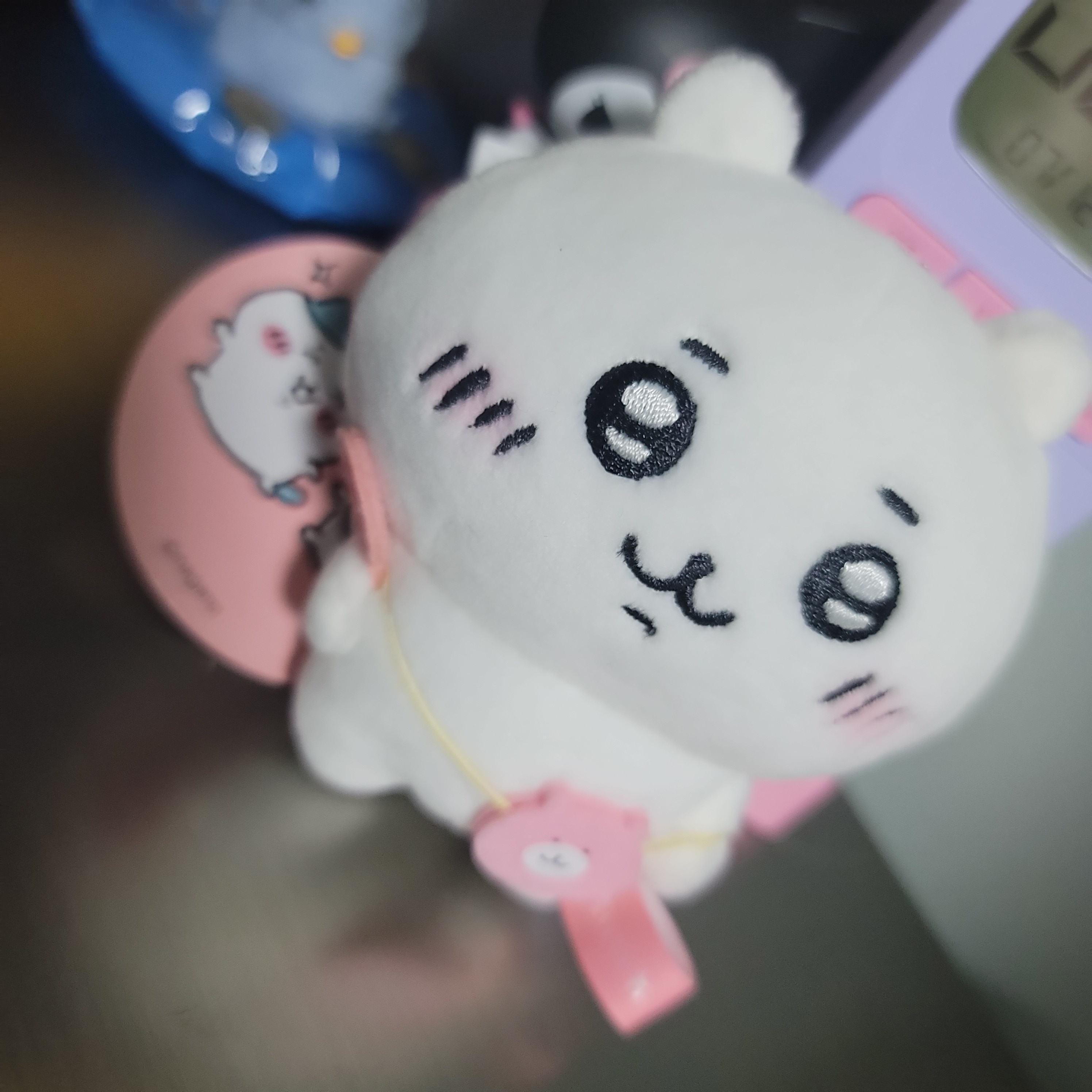 치이카와🩷