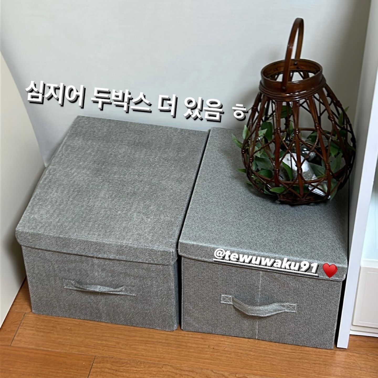 이사 기념 대마왕 얼굴 공개٩(●˙▿˙●)۶